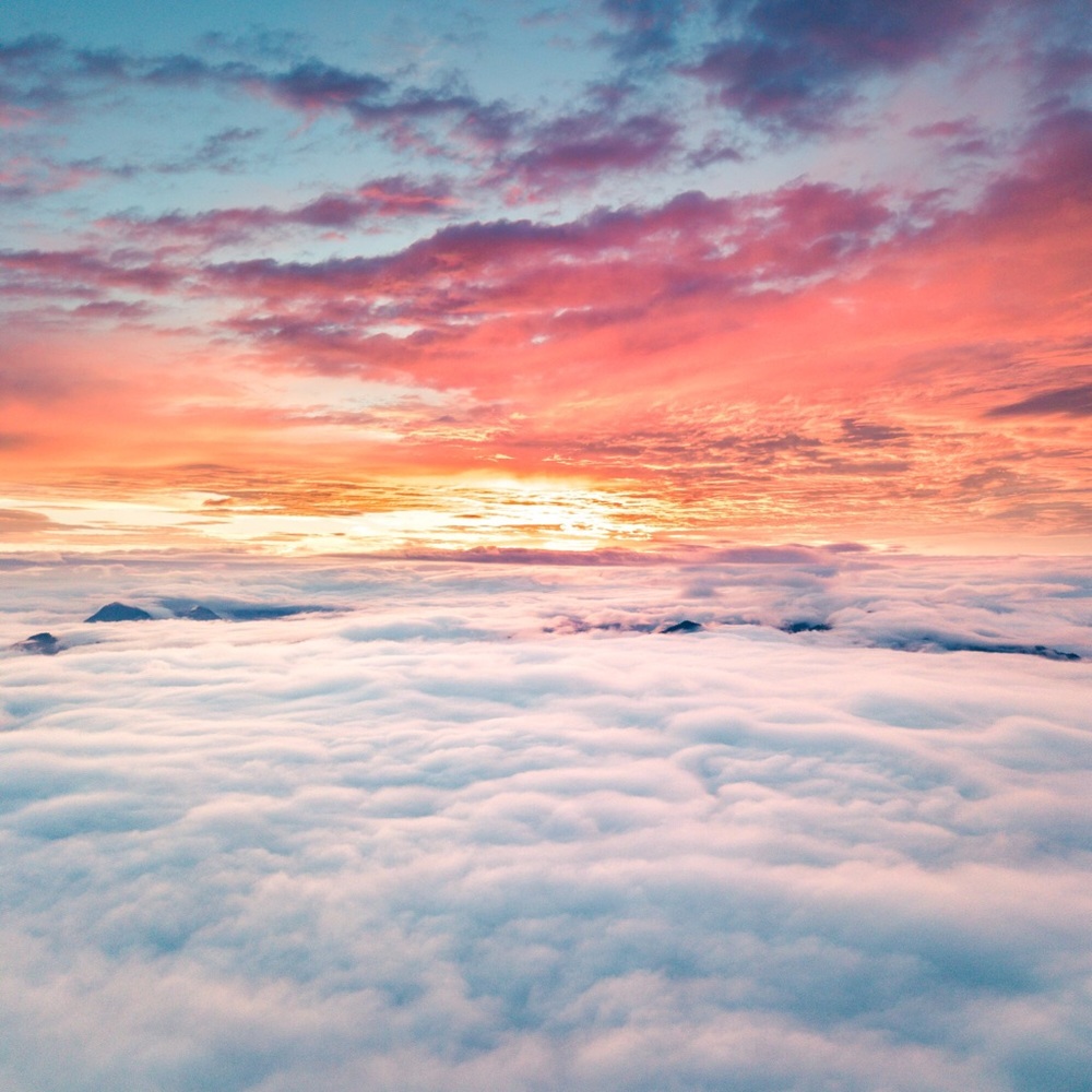 Meet your Posher, Scarlett